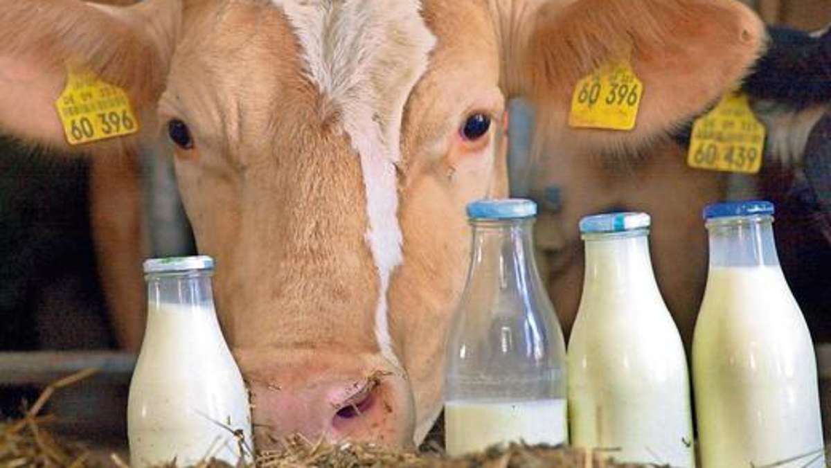 Marktredwitz: Rasanter Anstieg der Milchproduktion
