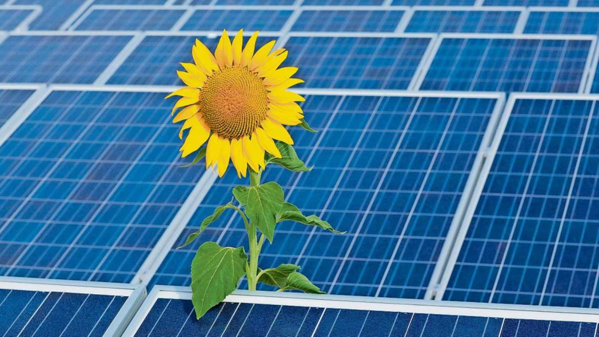 Selb: Schönwald lehnt Photovoltaikanlage ab