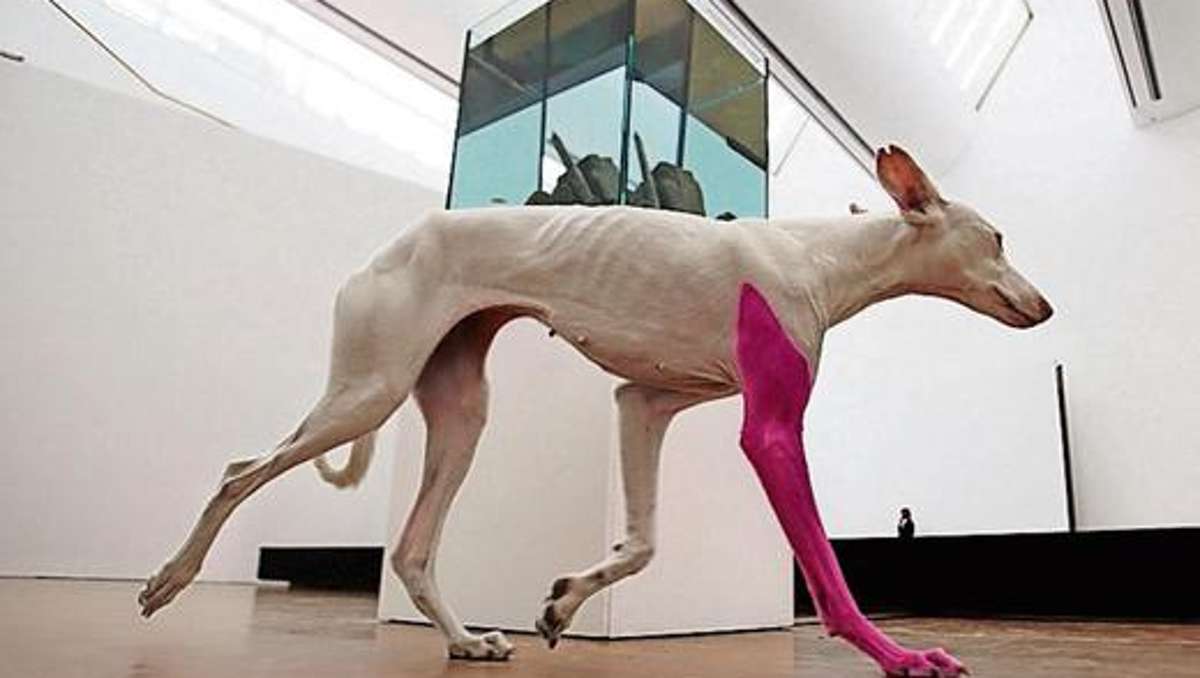 Kunst und Kultur: Hunde sind tabu