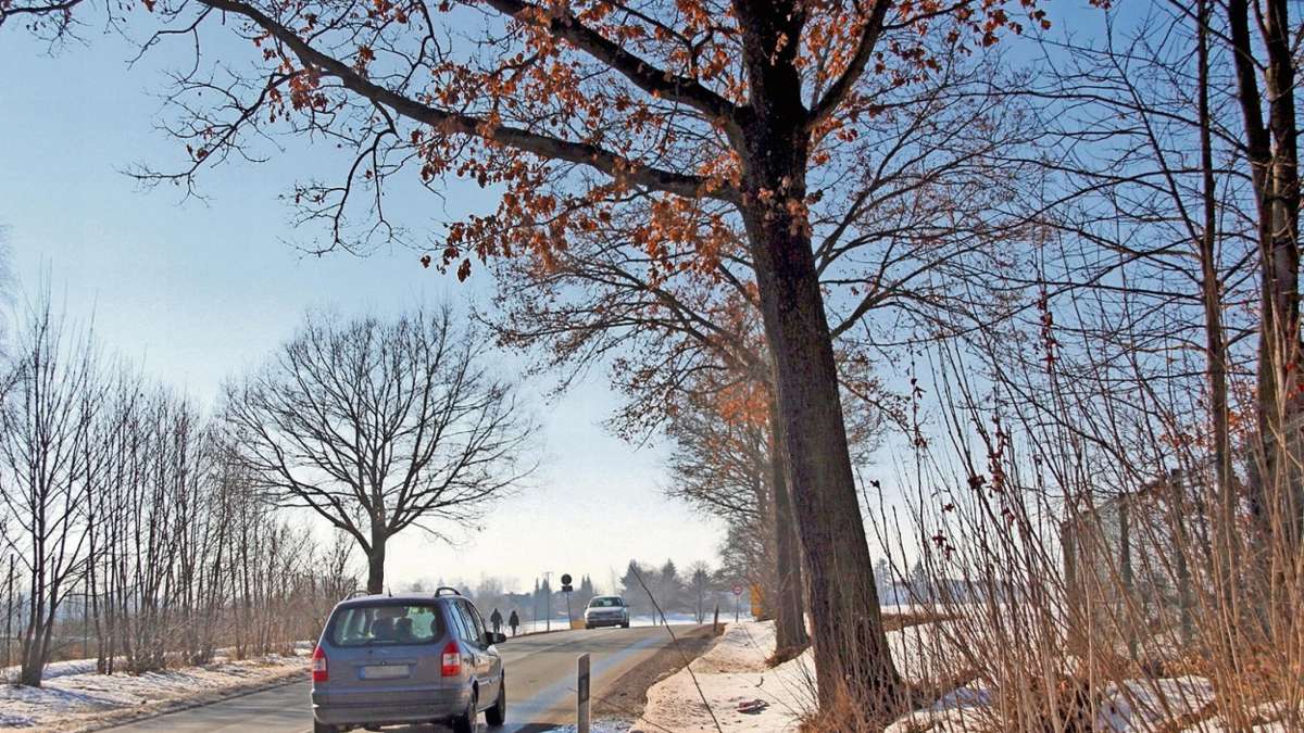 Münchberg: Bäume müssen Straßenausbau weichen