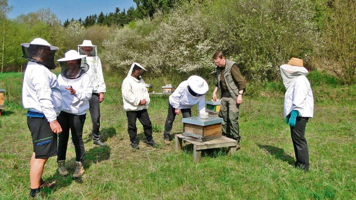 Rehau: Überraschungen im Bienenstock