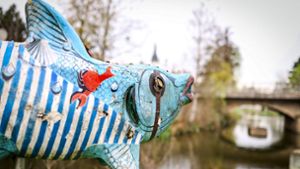 Kunstprojekt: Weiter Streit um Schwarzenbacher Fische