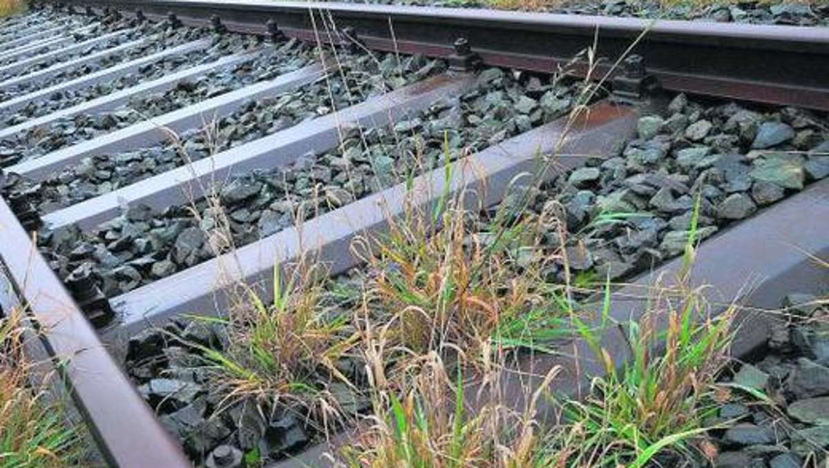 Wunsiedel: Ausschuss will Bahnlinie retten
