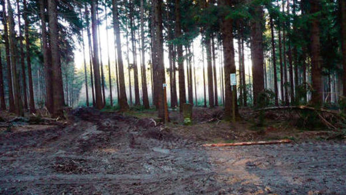 Hof: Zerstörungen im Hallersteiner Forst