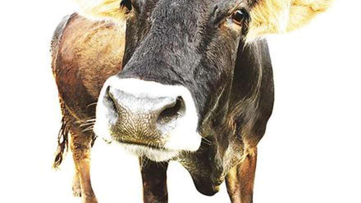 Länderspiegel: Gericht spricht Viehhändler frei