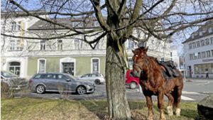 Auch Pferde bauchen Parkplätze