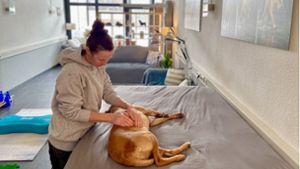 Behandlung für Vierbeiner: Bei der Hunde-Physiotherapeutin