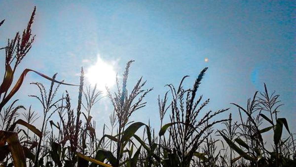 Hof: Von wegen Mais-Wüste