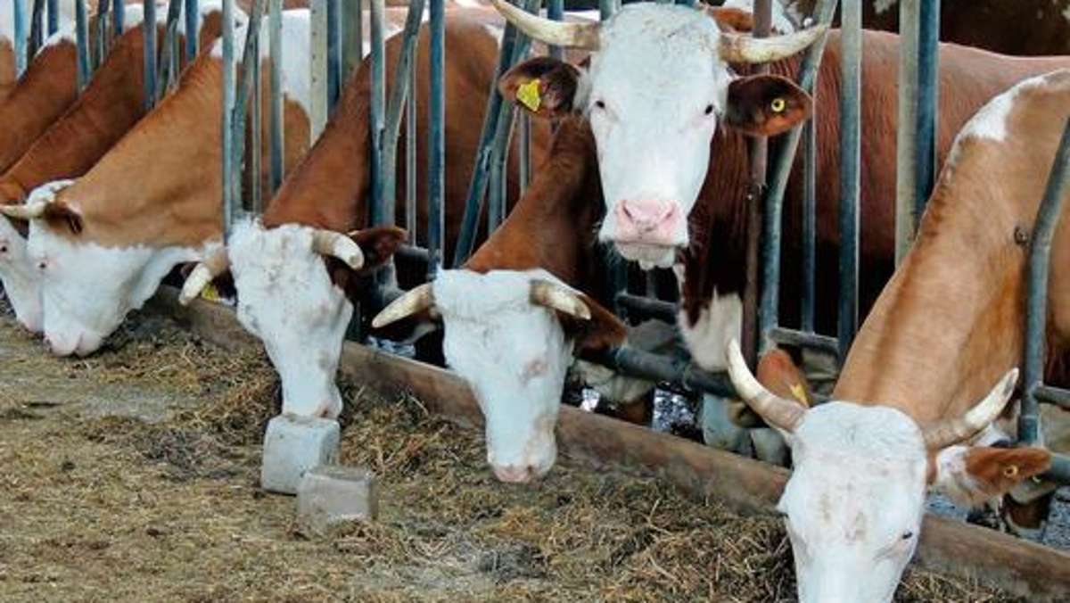 Wunsiedel: Tiere für Bauern immer unrentabler