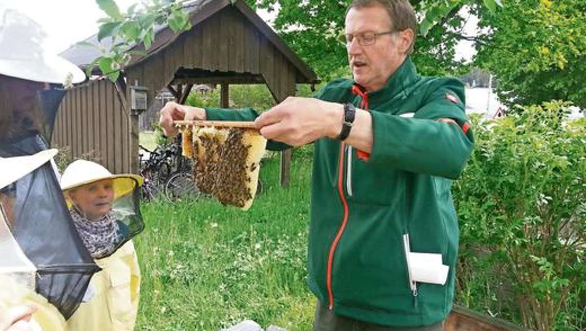 Rehau: Von Waben, Pollen und fleißigen Bienen