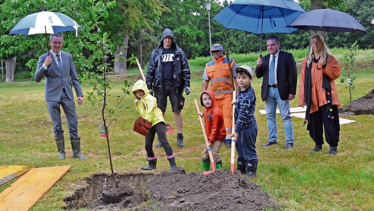 Selb: Kinder pflanzen Wiesenfestbäumchen