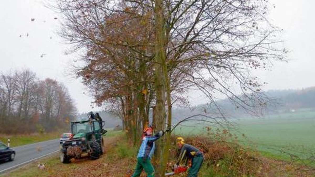 Kulmbach: Radweg Wirsberg: Die Rodungsarbeiten sind ausschließlich auf Straßengrund