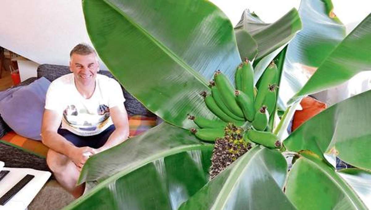 Naila: Alles Banane im Frankenwald