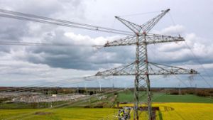 Energie: Tennet: Bund wird Stromnetz nicht kaufen