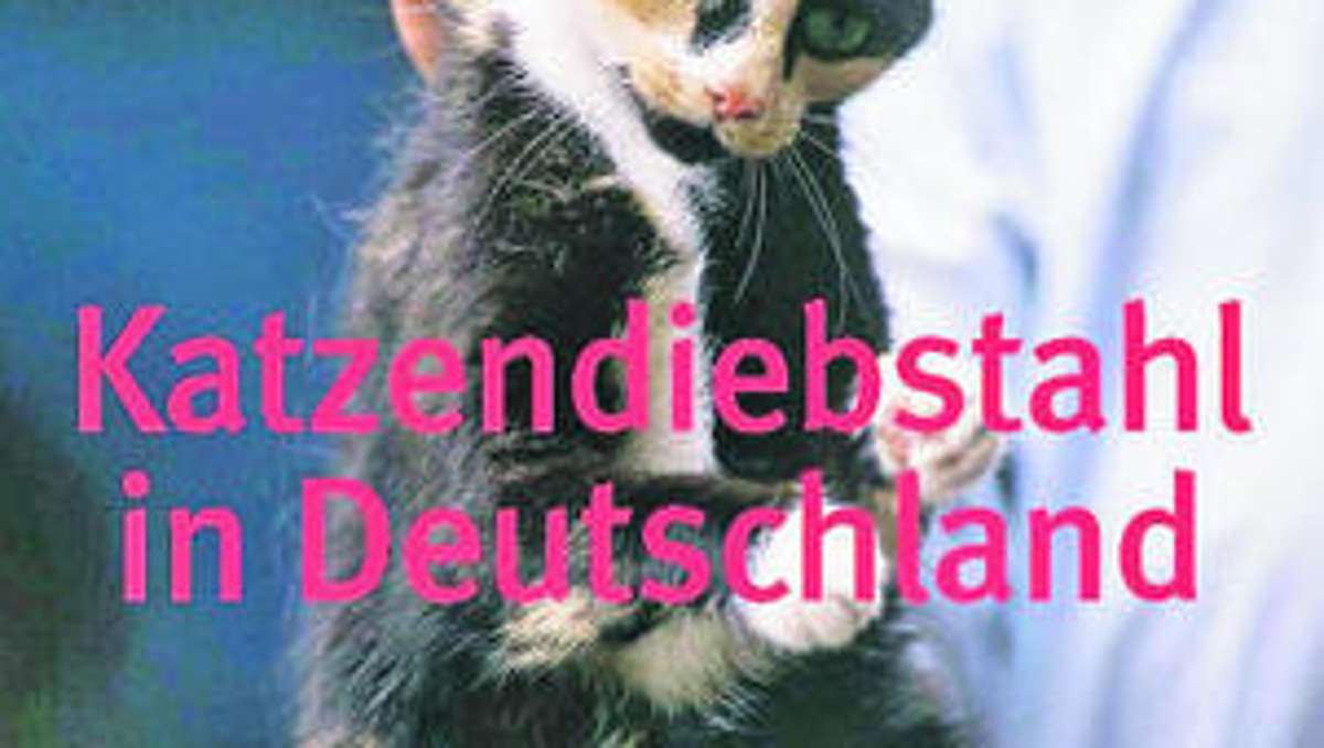 Arzberg: Viele Gründe für das Verschwinden von Katzen