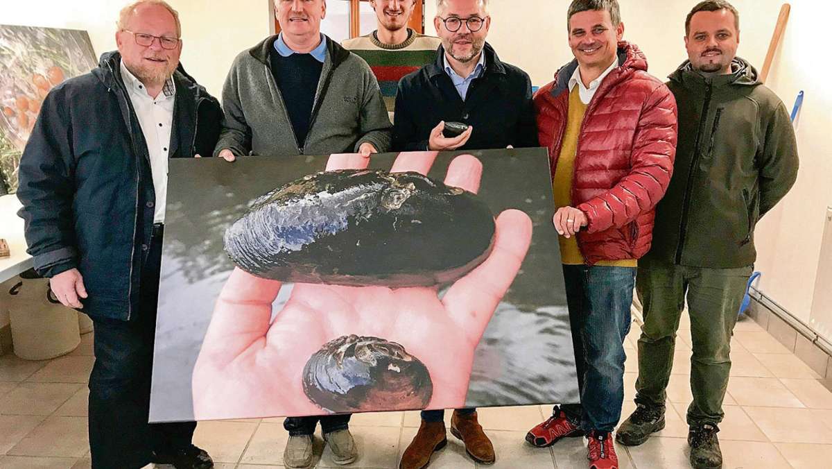Regnitzlosau: Europa schützt die Muschel