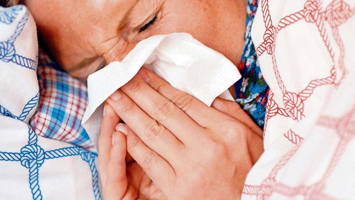 Landkreis Hof: Grippewelle erreicht neuen Höhepunkt