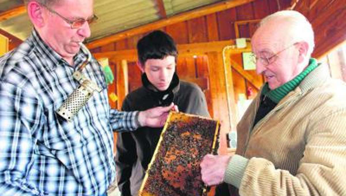 Kulmbach: Bienenvölker machen das Leben süßer
