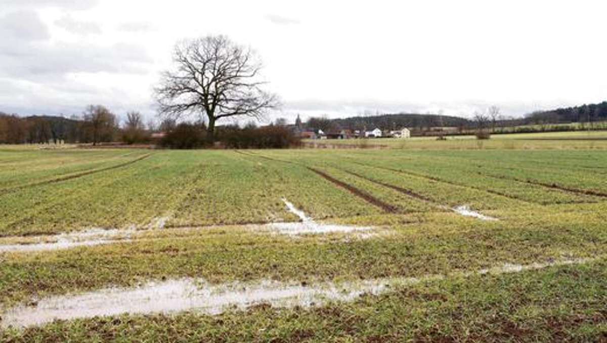 Kulmbach: Bauern wünschen sich noch Frost