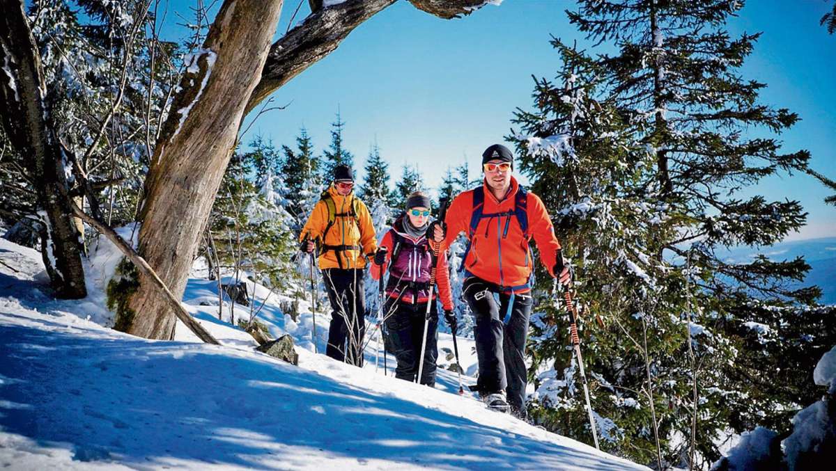 Für die Ochsenkopf-Winterwandertage im Januar hoffen die Organisatoren auf Schnee. Doch auch ohne die weiße Pracht bieten die 46 Touren den Wanderern Abwechslung. Foto: pr
