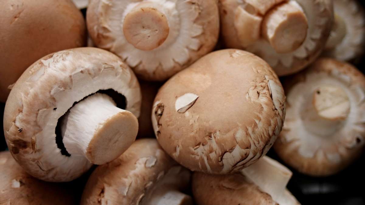 Von Polizei gestoppt: Kleinlaster zu schwer – wegen Pilzen!