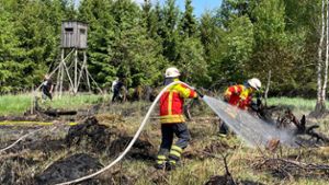 Fahrlässige Brandstiftung: Waldstück brennt nahe Trogen
