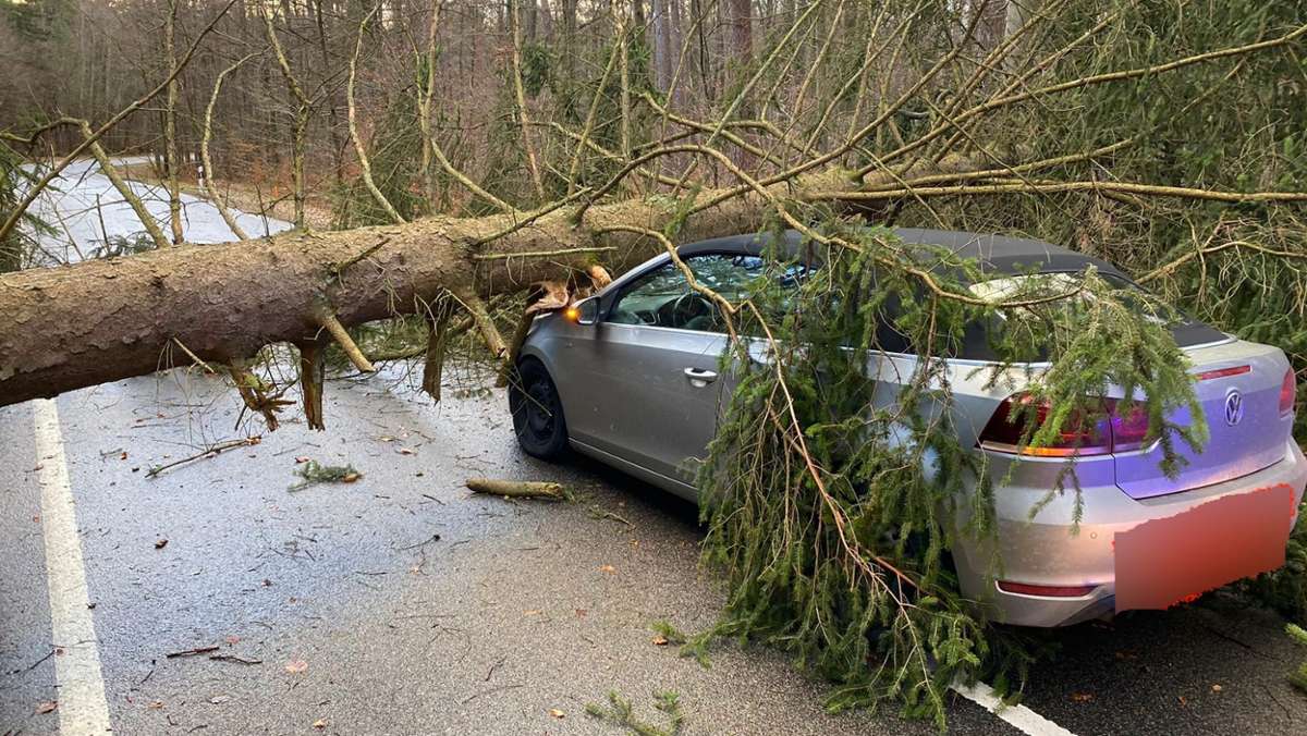 Sturm im  Landkreis Haßberge: Frau fährt auf Baum