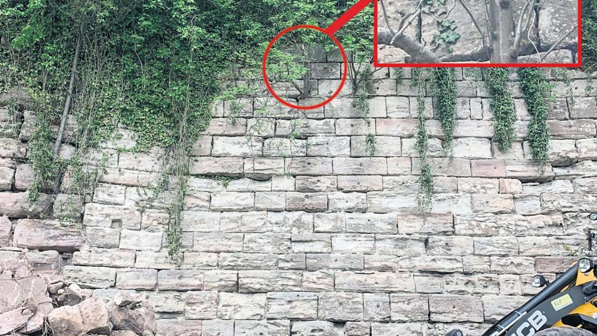 Kulmbach: Mann und Frau stürzen 7,5 Meter in den Burggraben