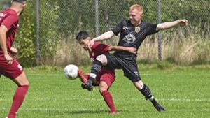 Fußball-Kreisliga Nord: Wachablösung in Hof?
