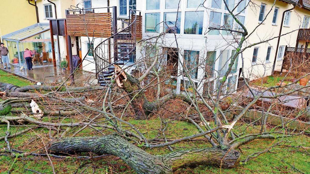 Hof: Umgestürzte Bäume, fliegende Dächer: Hofer Feuerwehr im Dauereinsatz
