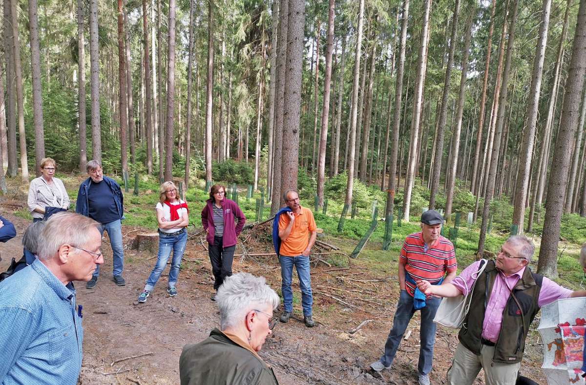 Der Leiter des Forstamtes Selb, Michael Grosch (rechts), erläutert den Aktiven Bürger die derzeit laufenden Maßnahmen im Selber Hammerwald Foto: pr