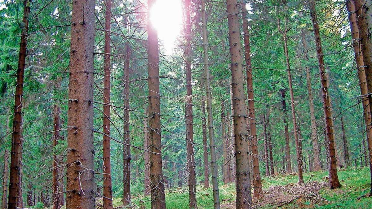 Frankenwald: Naturpark soll erhalten bleiben