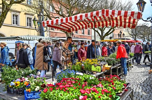 Gerade  Blumen waren beim Ostermarkt in Wunsiedel begehrt. Aber auch viele andere Waren  waren im Angebot. Foto: /Florian Miedl