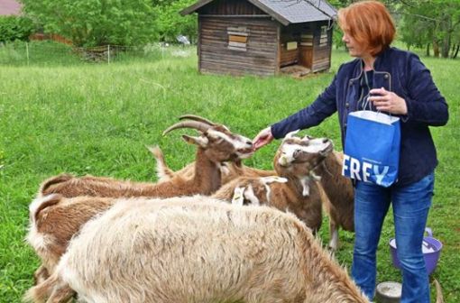 Die Bürgermeisterin von Bad Alexandersbad  ist auch im Projekt aktiv: Anita Berek füttert ihre Thüringer Waldziegen. Foto: Brigitte Geiselhart