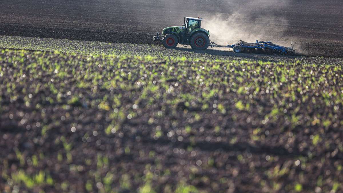 Bauerntag: Landwirte wettern gegen „grüne Ideologie“