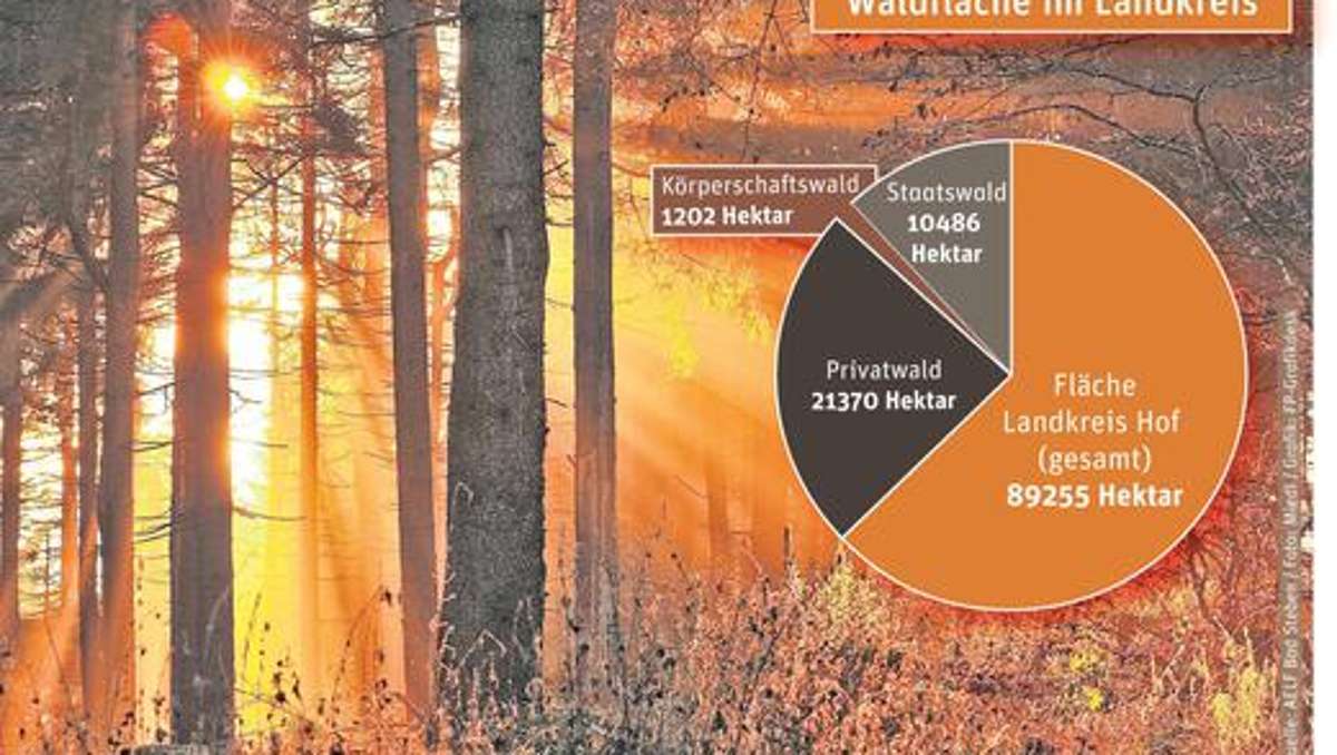 Münchberg: Unterstützung für den Wald