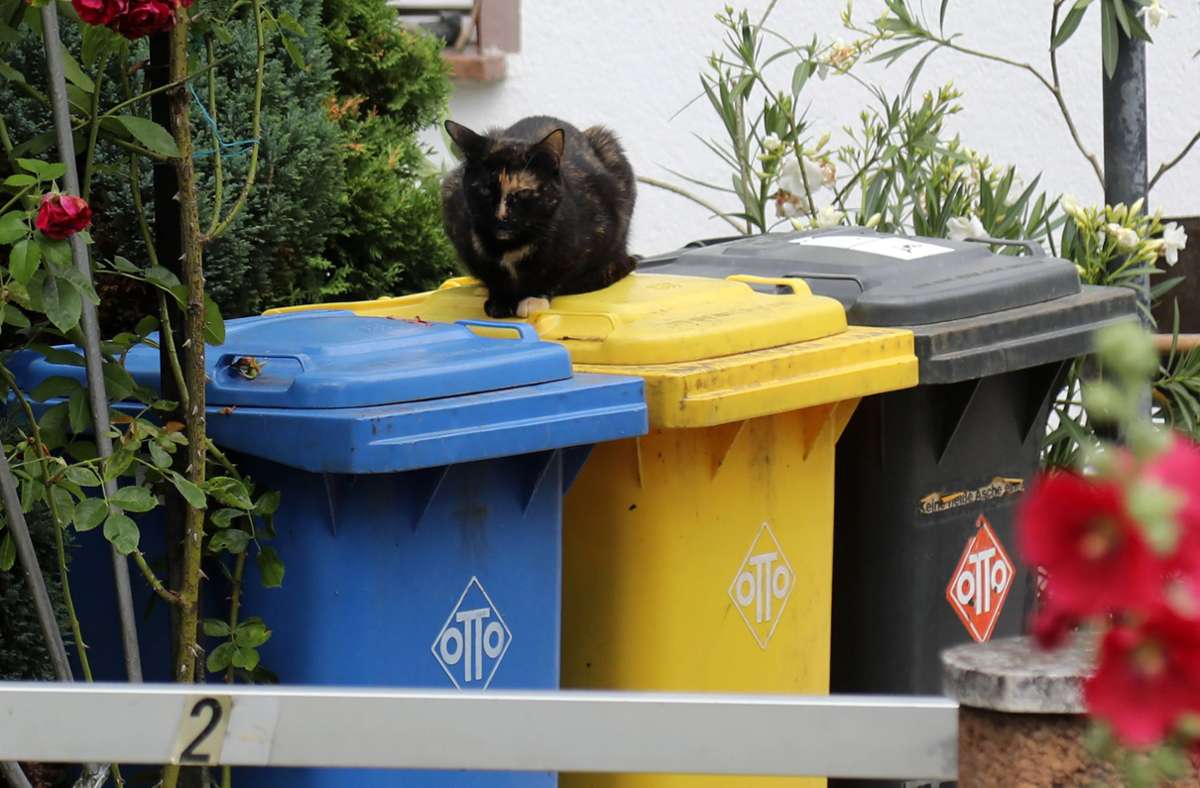 Mülltrennung bedeutet Umweltschutz, doch die Entsorgung ist nicht immer klar. Foto: imago/Karina Hessland