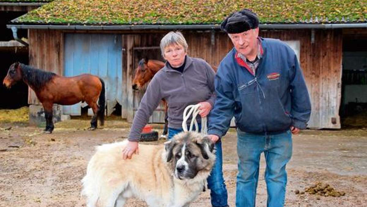 Münchberg: Bislang keine Hinweise auf Tierquäler
