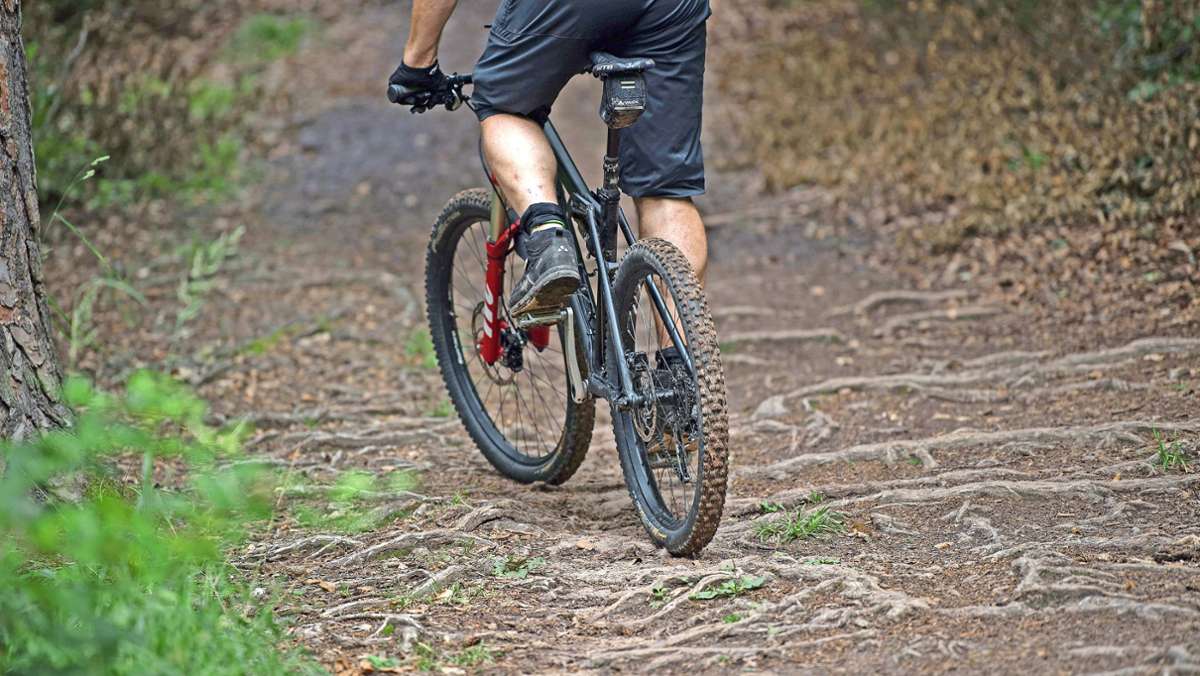 Einschränkungen außerhalb des Bikeparks: Biker fürchten um Kornberg-Trails
