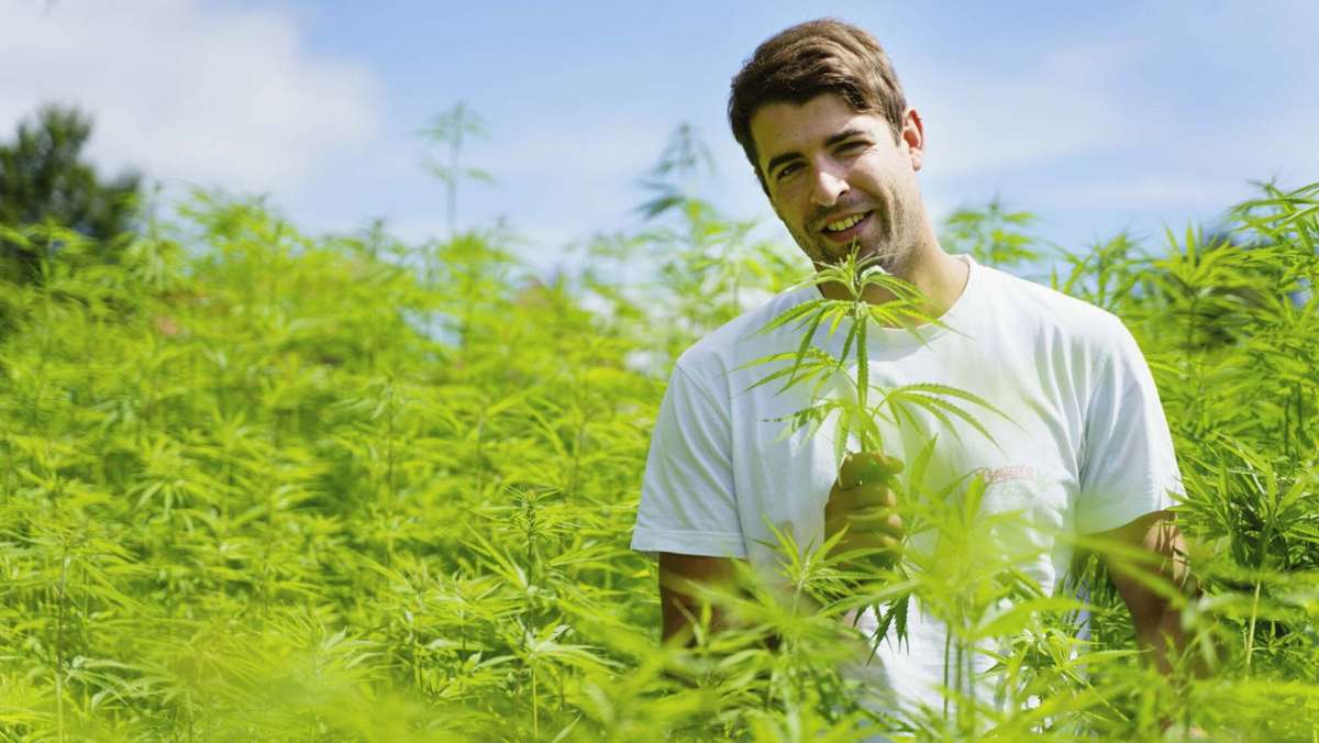 Freigabe der Droge?: Hanf-Joe: „Die Leute sind für Cannabis  bereit“