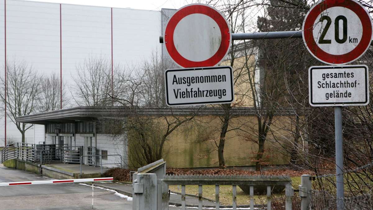 Kulmbacher Schlachthof: Oberbürgermeister zeigt SOKO Tierschutz an