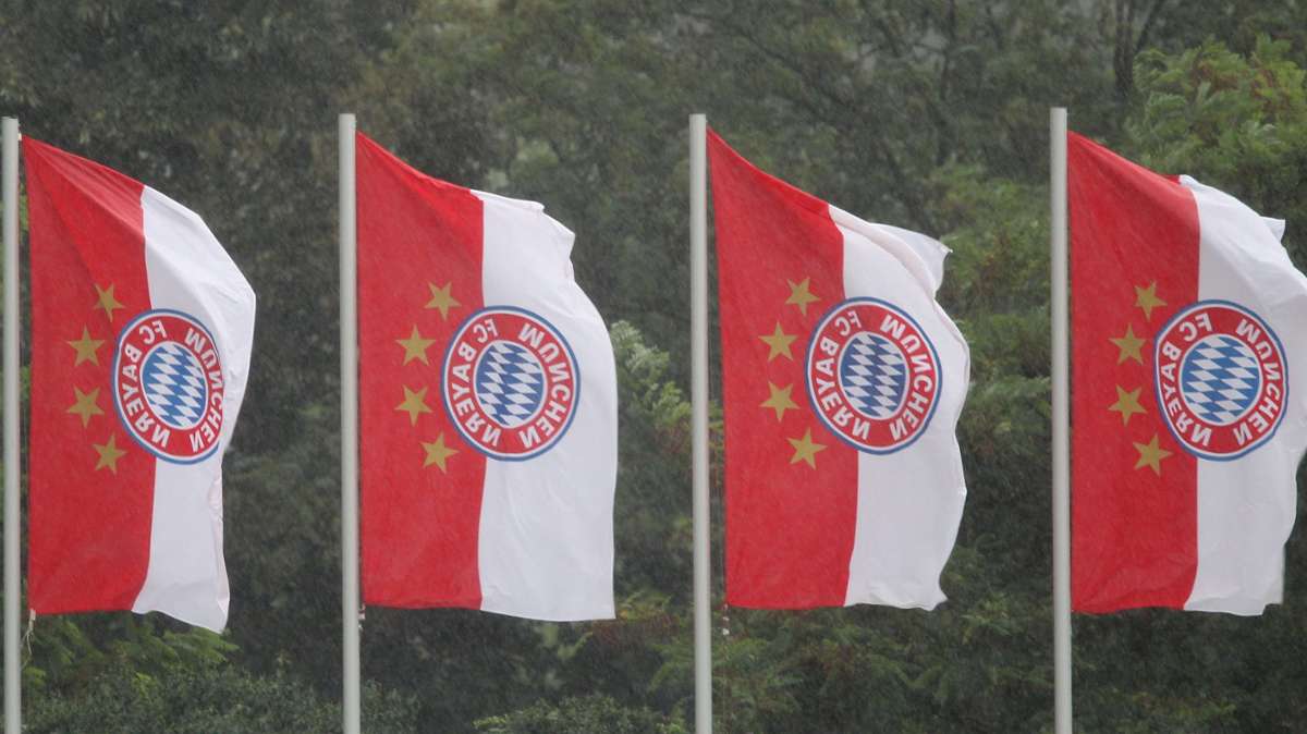 Naila: Geroldsgrün: Unbekannter fällt Mast mit Bayern-München-Fahne