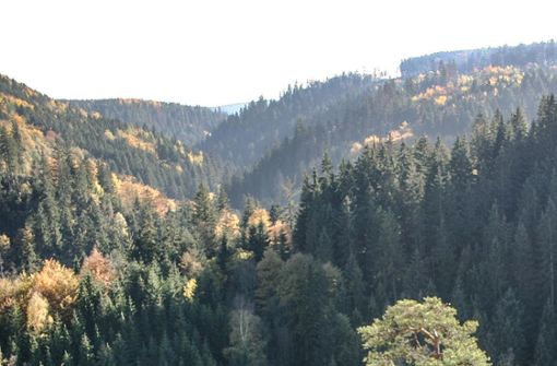 Der Blick über den Hirschsprung auf die Hangwälder im südlichen Höllental, die am meisten von der Reaktivierung der Höllentalbahn betroffen wären. Foto: Rost