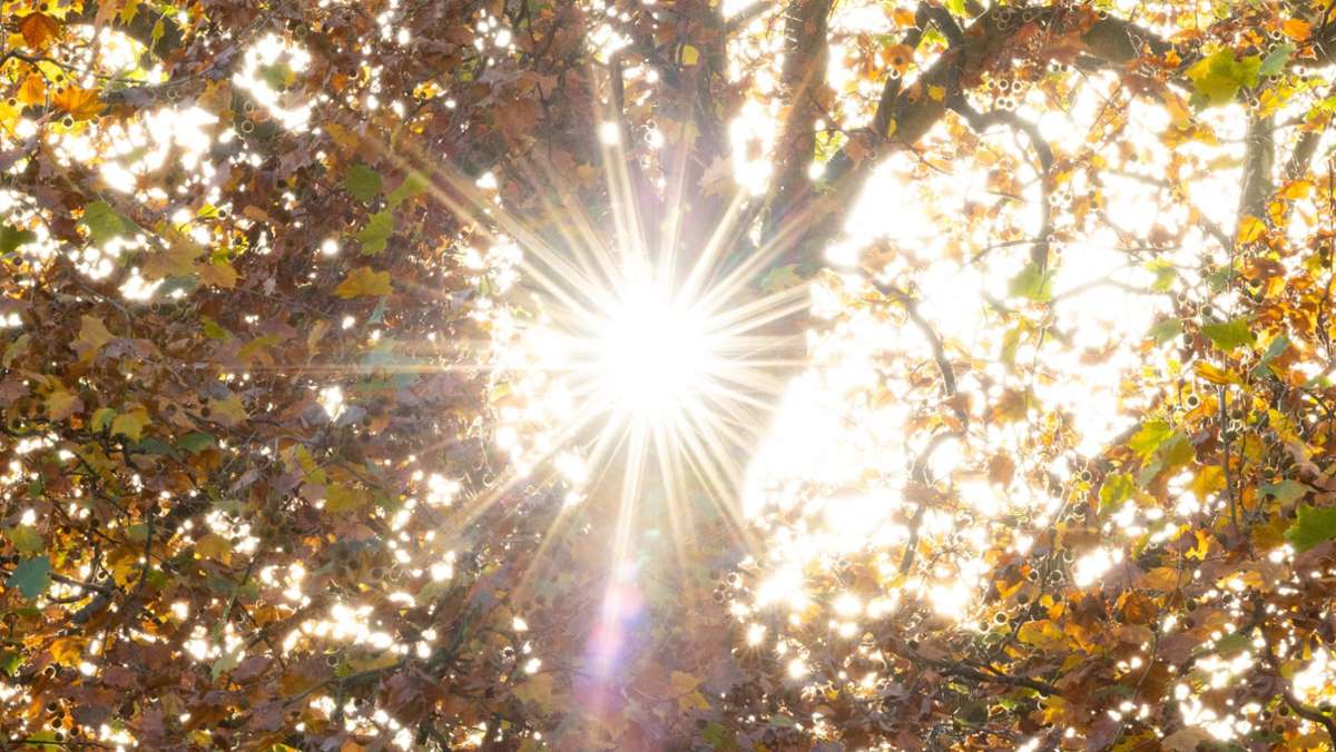 Deutscher Wetterdienst: Oktober war  „extrem warm“