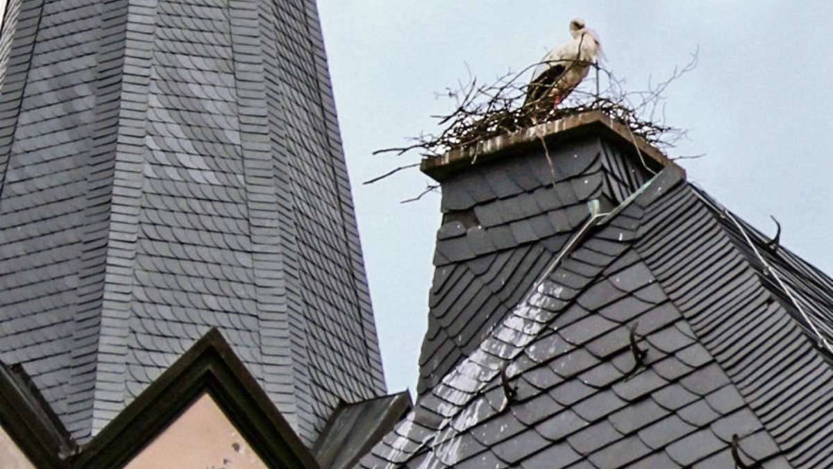 Kirchenlamitz: Storch nistet erstmals auf dem Rathausdach