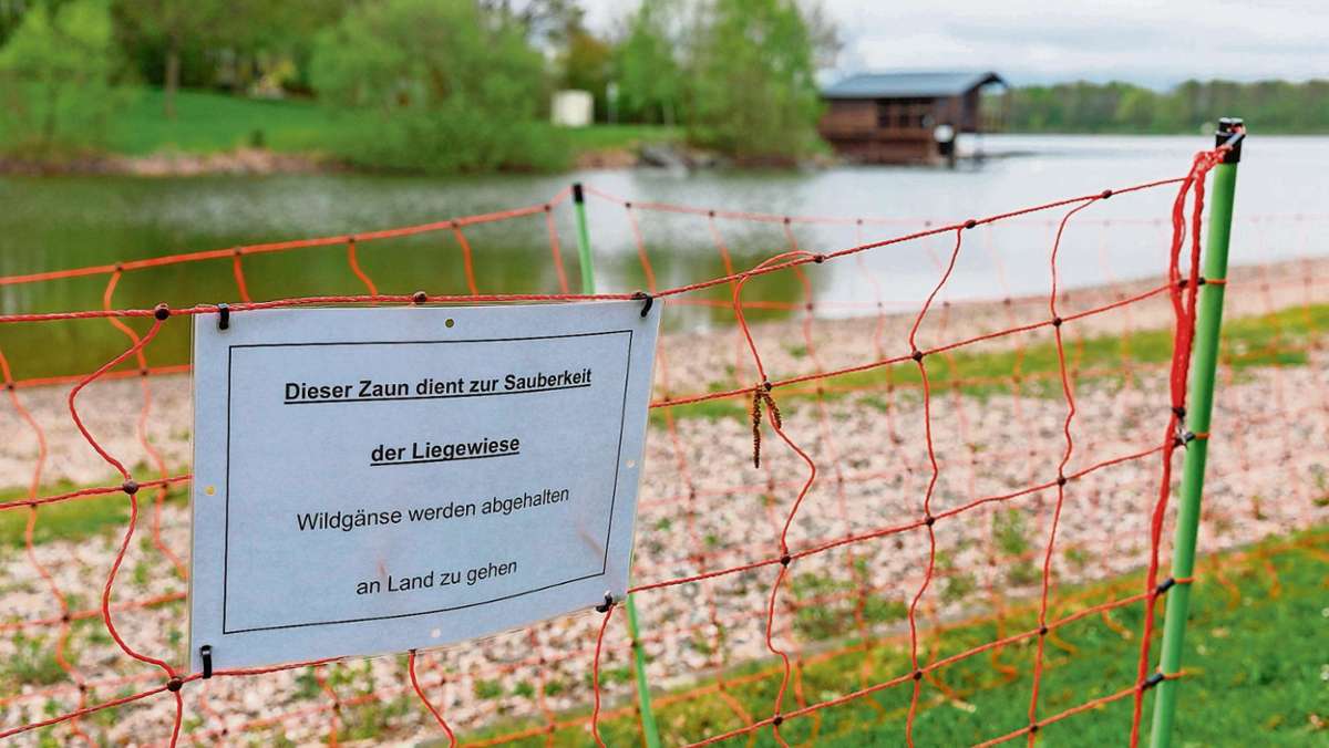 Hof: Stadt will Gänse-Zaun verlängern
