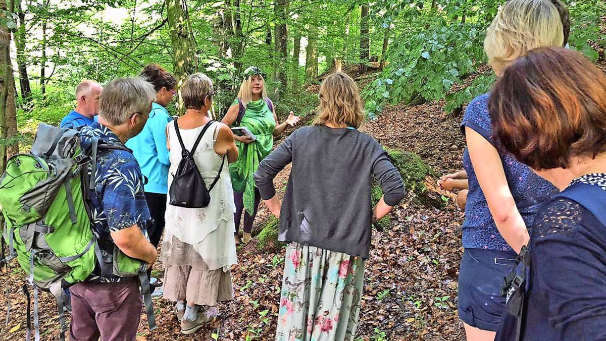 Wanderangebote des FGV: Im Wald die Sinne schärfen
