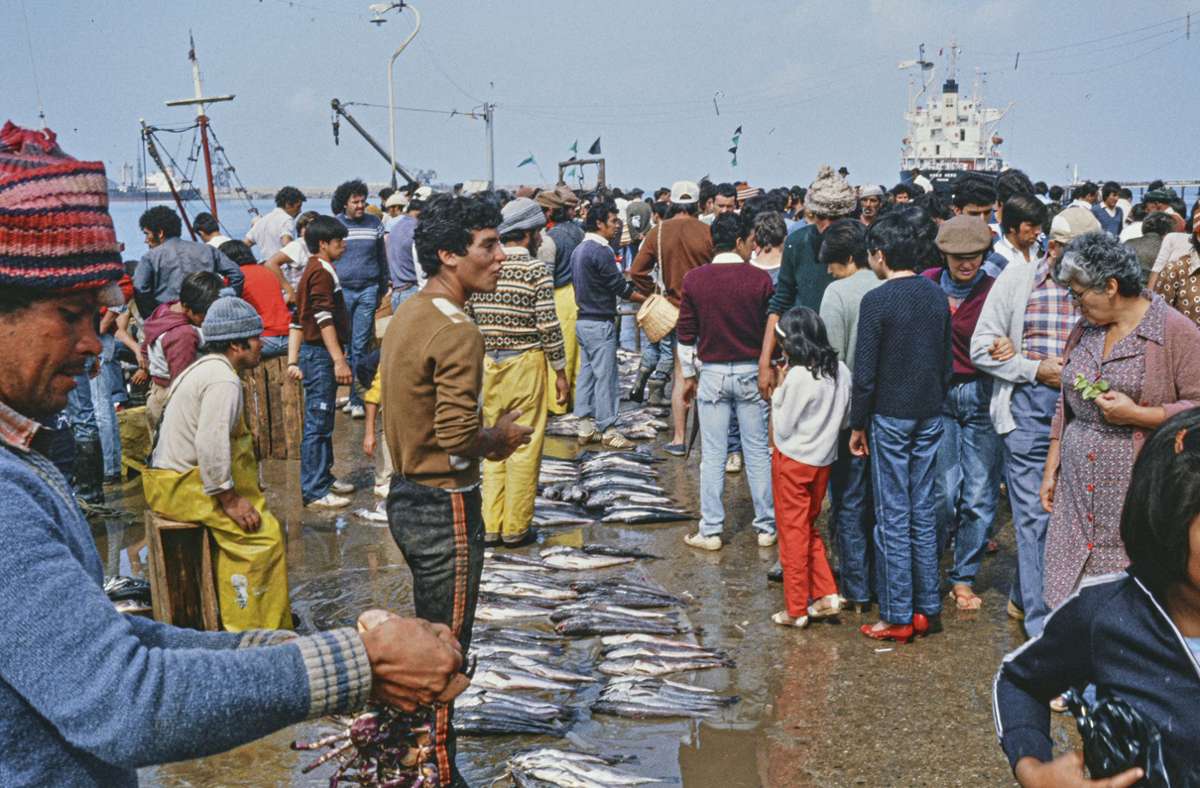 Der Fischmarkt am Hafen von El Quisco in Chile. Die Aufnahme entstand 1971. Foto: Wolfgang Erhart