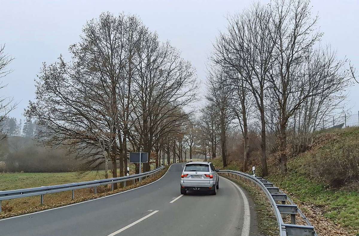 Die kurvenreiche Kreisstraße HO 5 zwischen Tauperlitz und Kautendorf ist in weiten Streckenabschnitten von Bäumen gesäumt. Foto: Keltsch