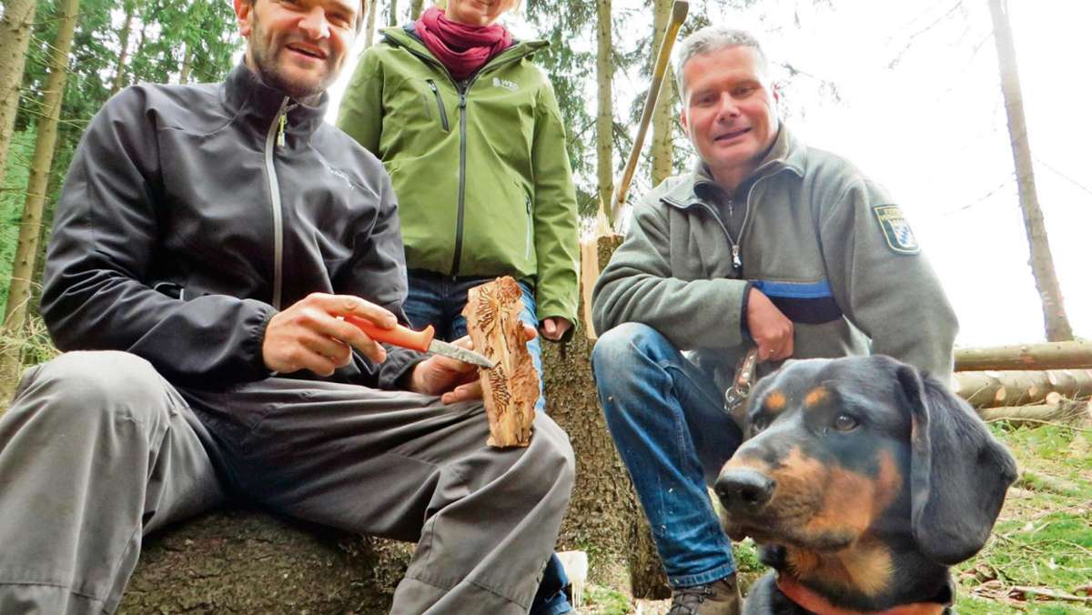 Frankenwald: Die Jagd auf Borkenkäfer geht weiter